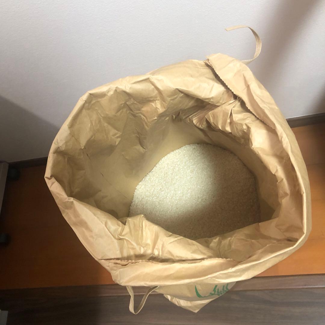 お米　淡路島産キヌヒカリ　20kg