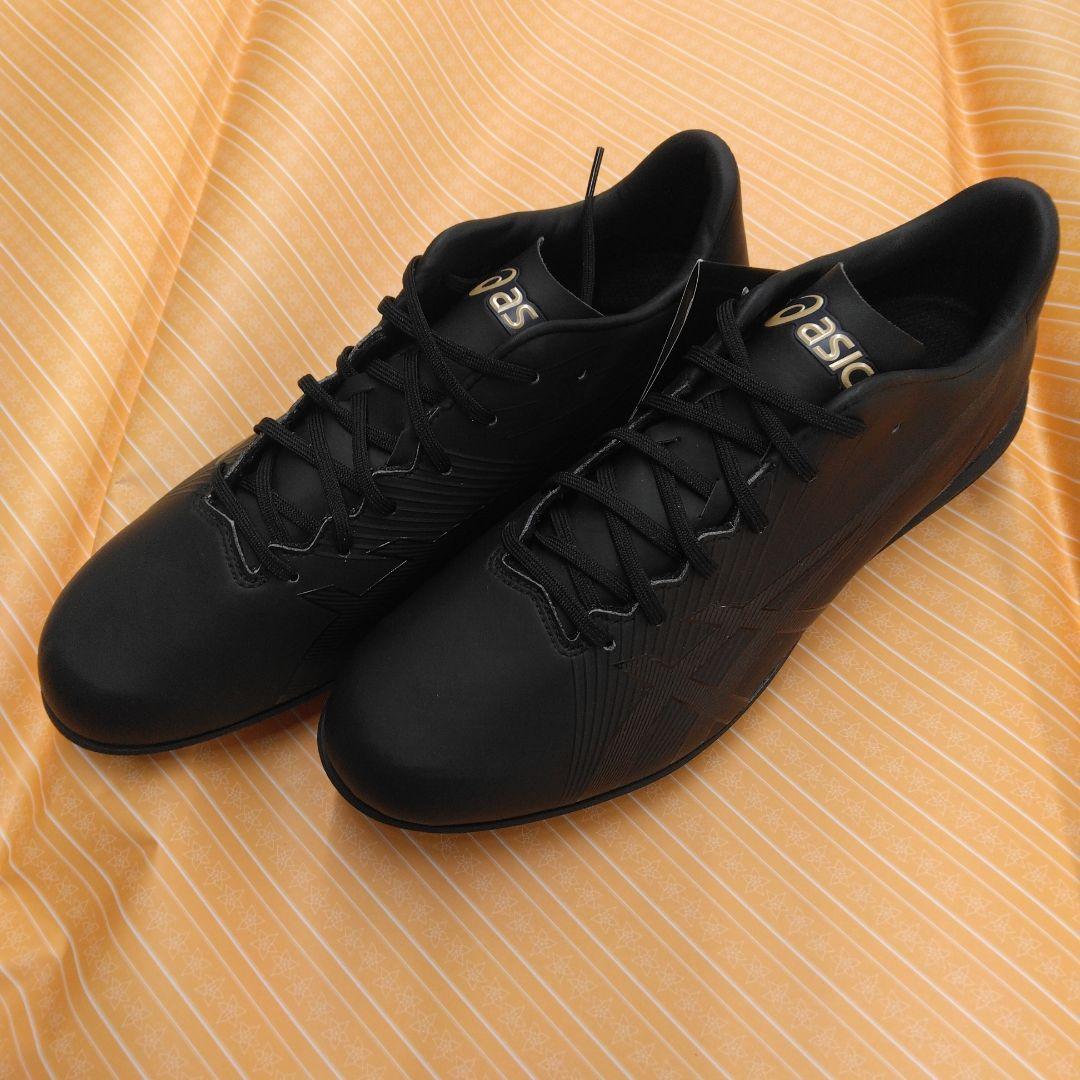 ゴールドステージI-PRO MA2