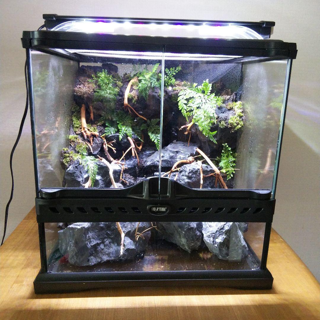 【受注生産】アクアテラリウム グラステラリウム