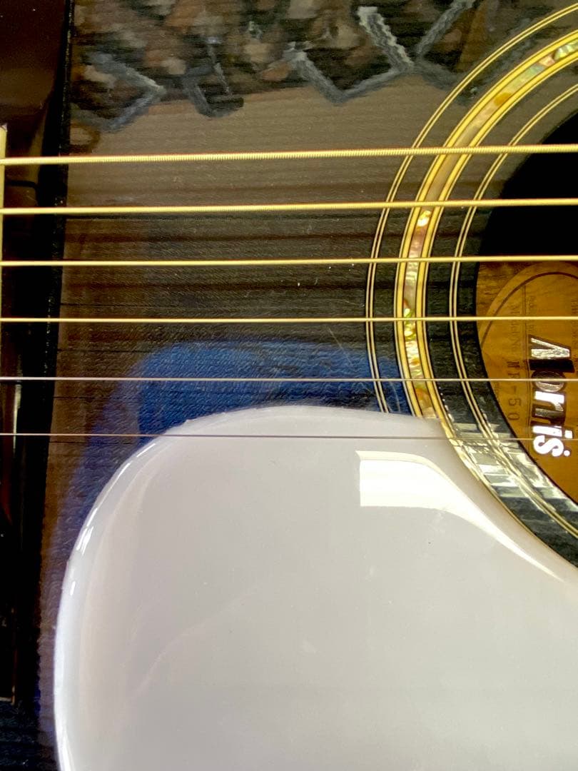 大幅値下！90’代モーリスMF50　スプルース単板、ペグGOTOHクリーニング済