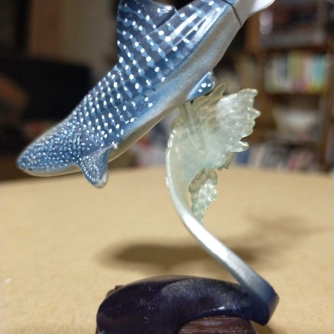 貴重レア　ジンベイザメ「海遊館ミュージアム ネイチャーテクニカラー」 海遊館限定