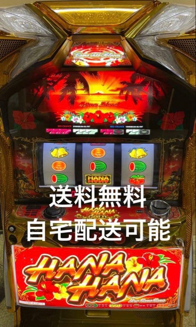 実機　ニューハナハナゴールド30　不要機仕様