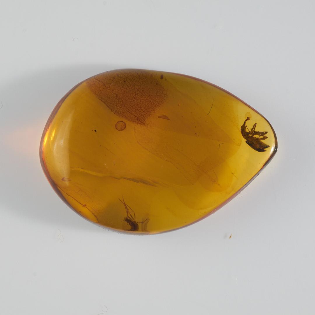 レア極上品 PA0035虫入り琥珀化石　ミャンマーカムティかタナイ9900万年前