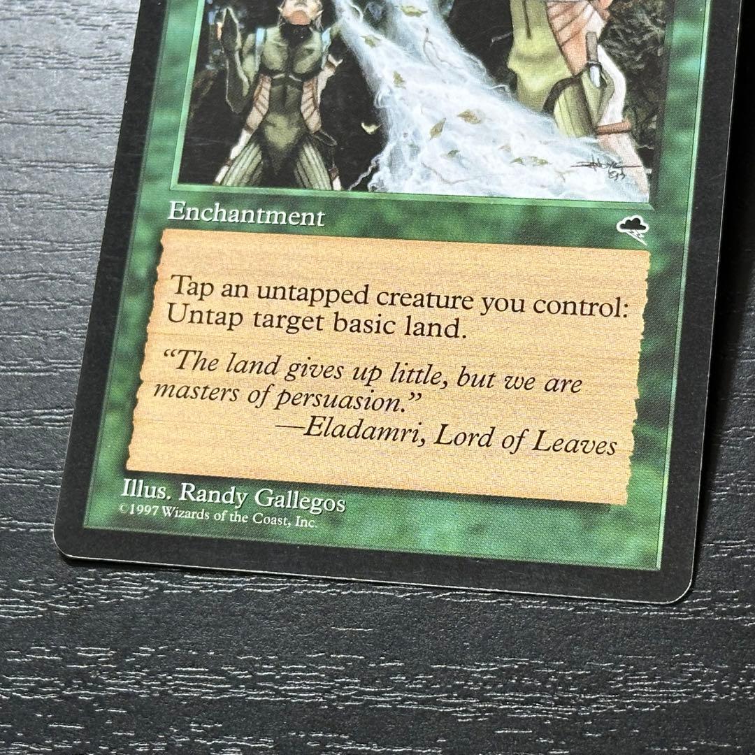 MTG 大地の知識 英語