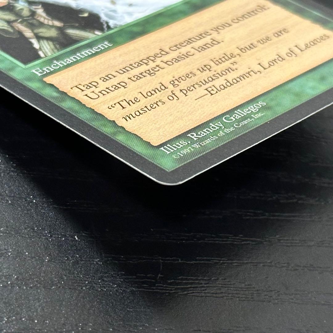 MTG 大地の知識 英語