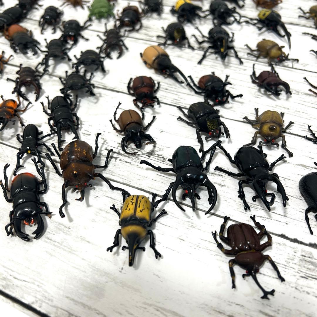 昆虫　フィギュア