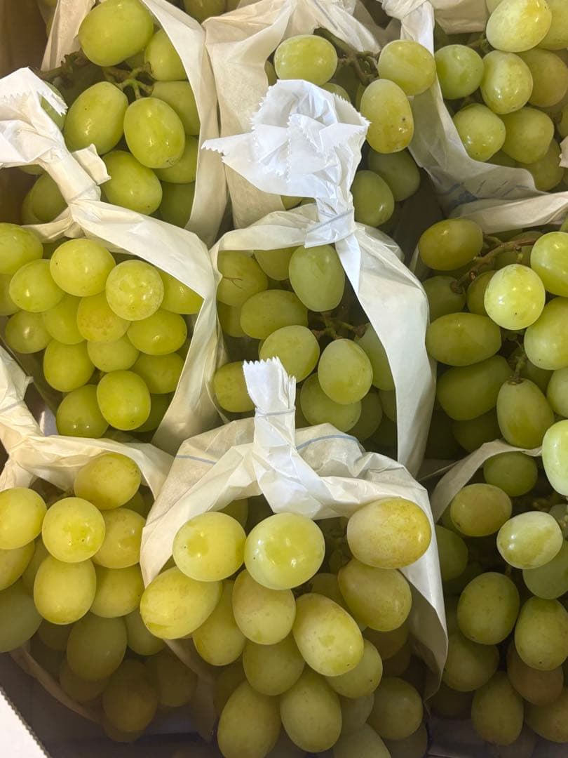 大分産　シャインマスカット　5kg