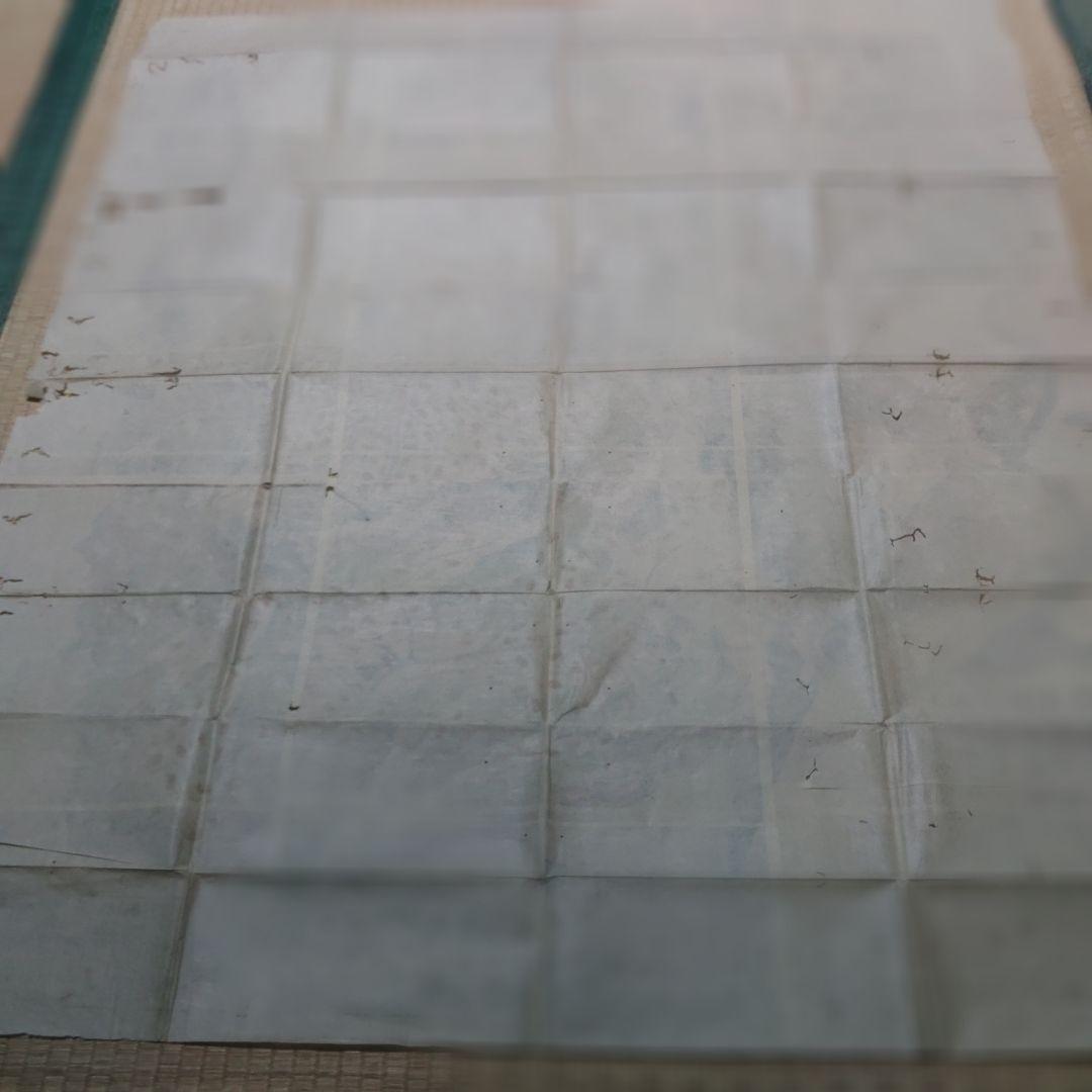 当時物　江戸時代　彩色甲斐国絵図　天保14年