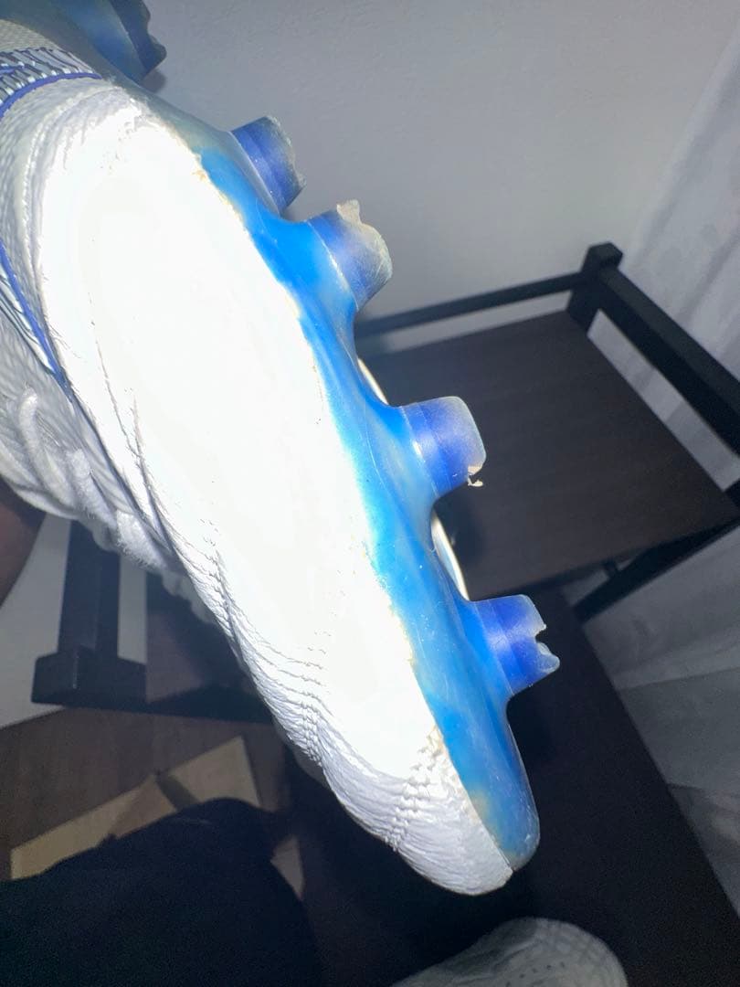 モレリアネオベータ　白×青