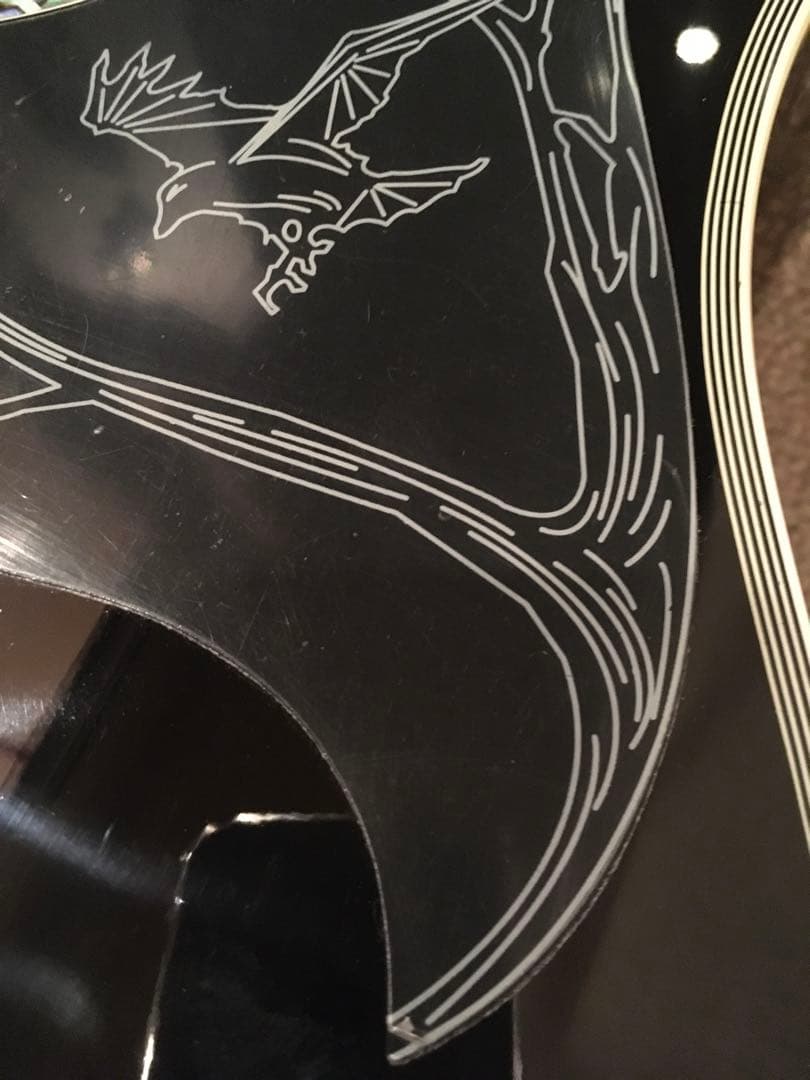 デイヴナヴァロ　シグネーチャーモデル Epiphone アコースティックギター