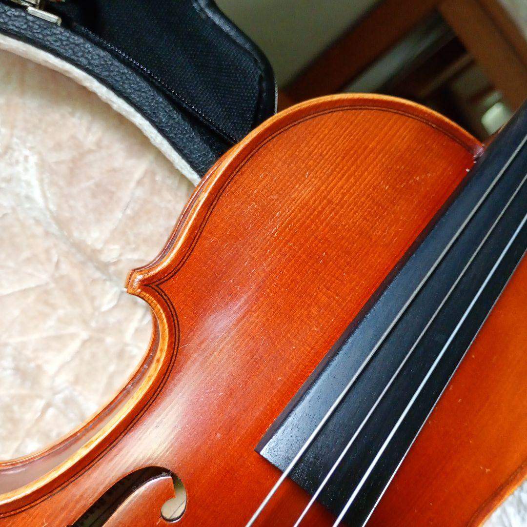 ピグマリウス スタンダード 2022年 アルシェ PE 1003 分数 1/4