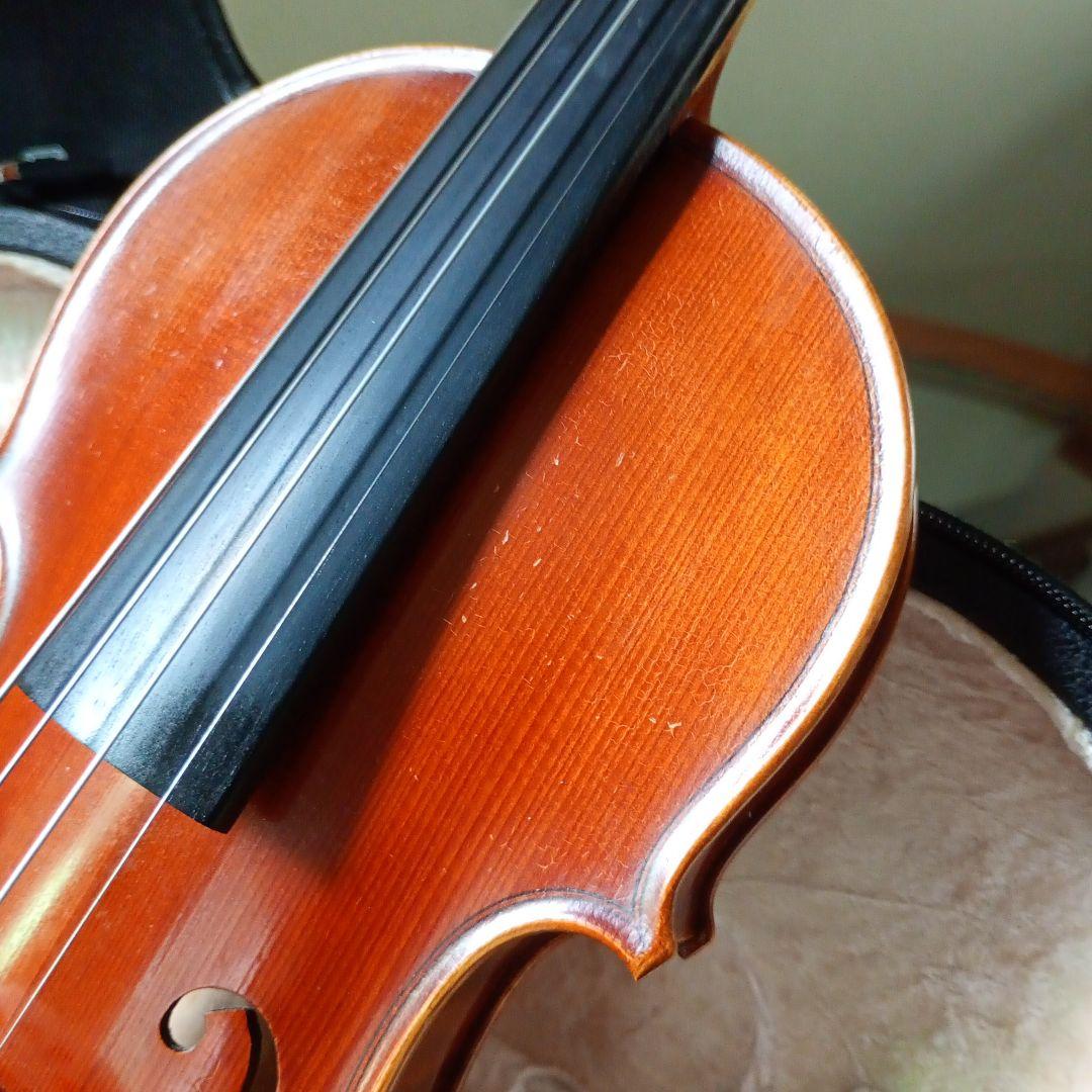 ピグマリウス スタンダード 2022年 アルシェ PE 1003 分数 1/4