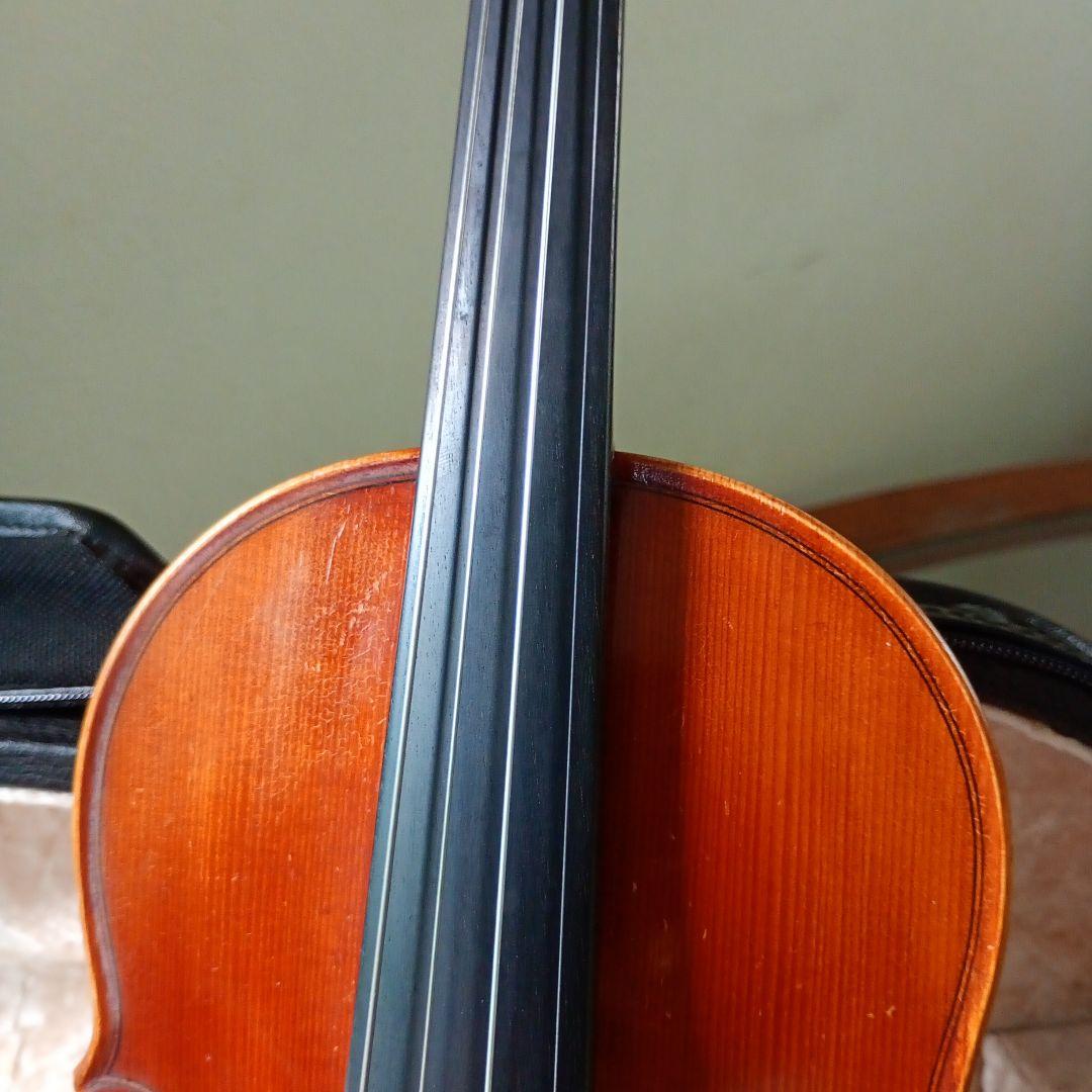 ピグマリウス スタンダード 2022年 アルシェ PE 1003 分数 1/4