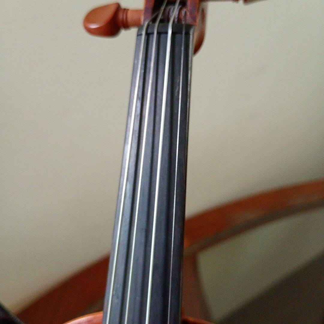 ピグマリウス スタンダード 2022年 アルシェ PE 1003 分数 1/4