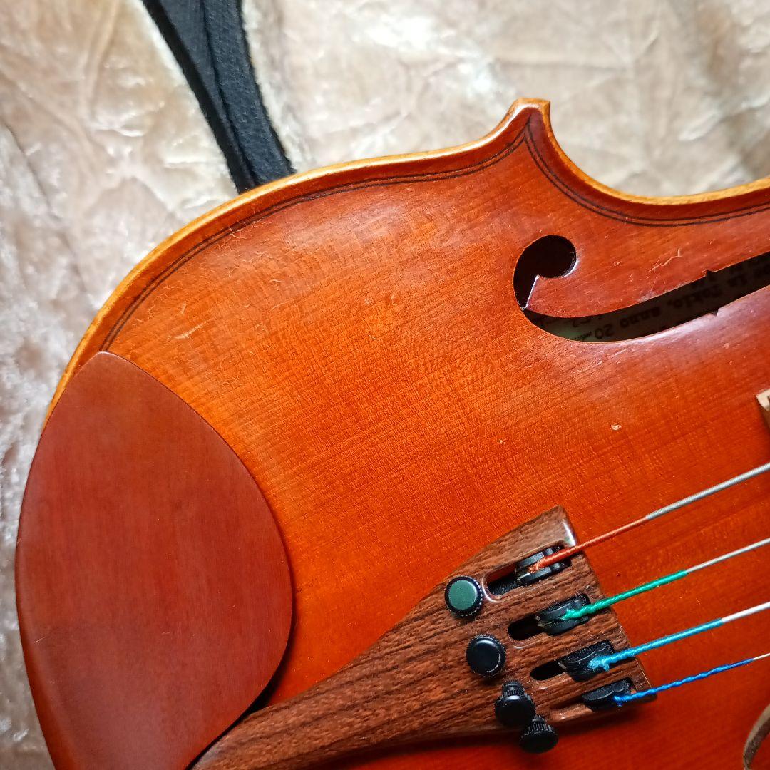 ピグマリウス スタンダード 2022年 アルシェ PE 1003 分数 1/4