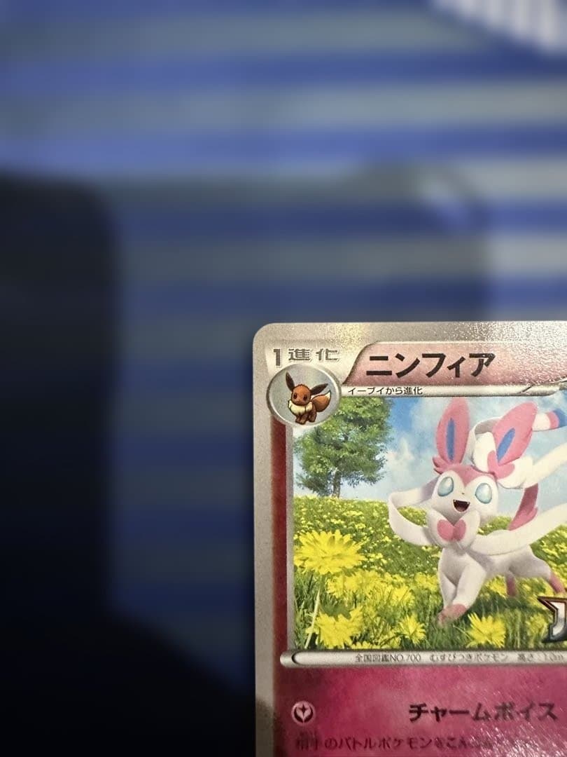 ニンフィア：バトルフェスタ2014 PROMO XYシリーズプロモーションカード