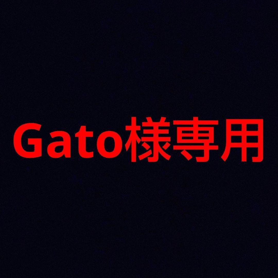 その他 Gato