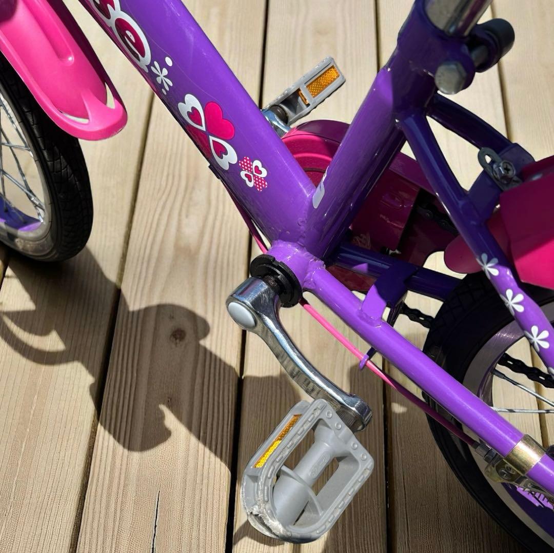 子供用自転車　アルバニー　raise 16インチ　引き取り希望