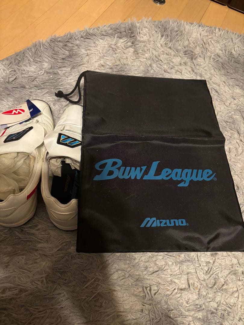 Mizuno ウェーブサンデー　トレーニングシューズ ホワイト/レッド27.5㎝