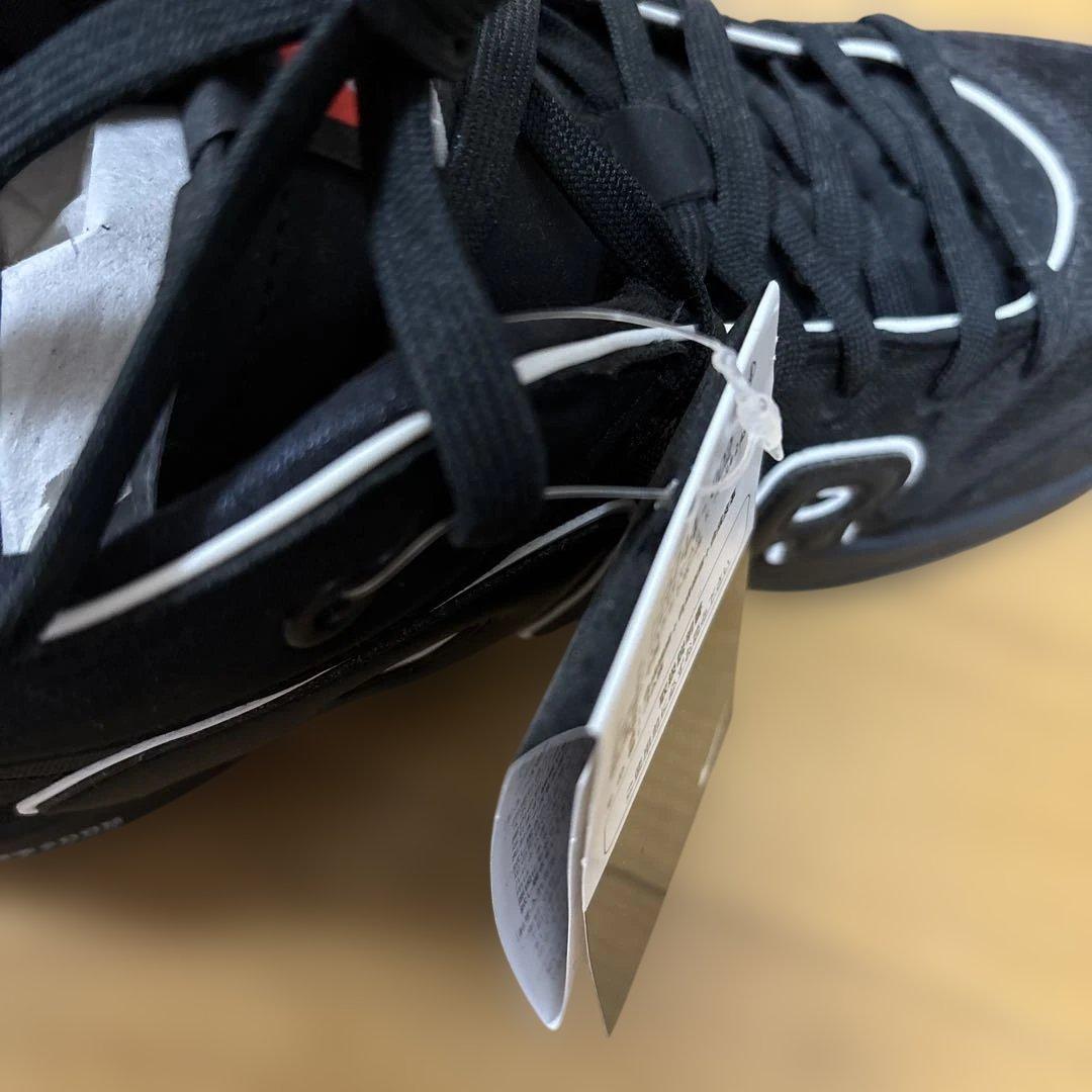 Nike gtハッスル2 黒　バスケットボール　30cm 箱あり