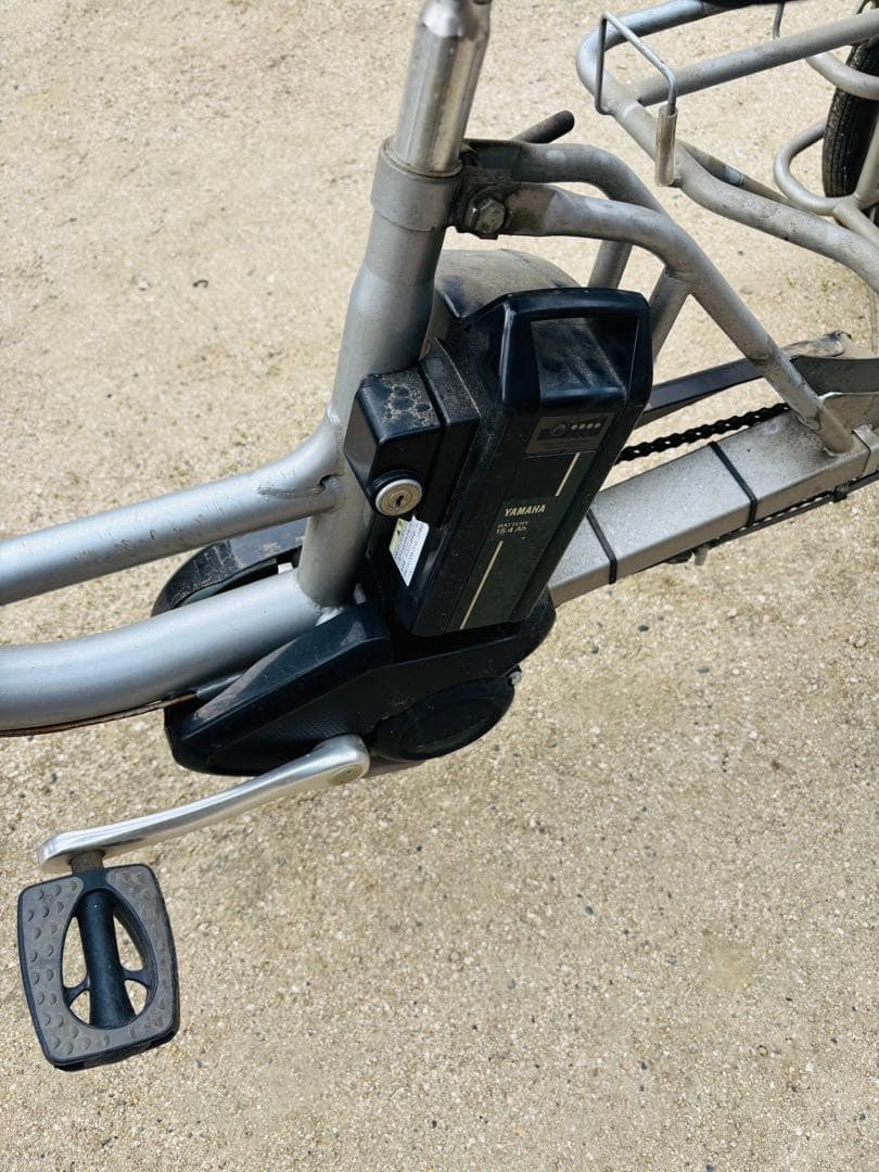 電動アシスト　パスギアカーゴ