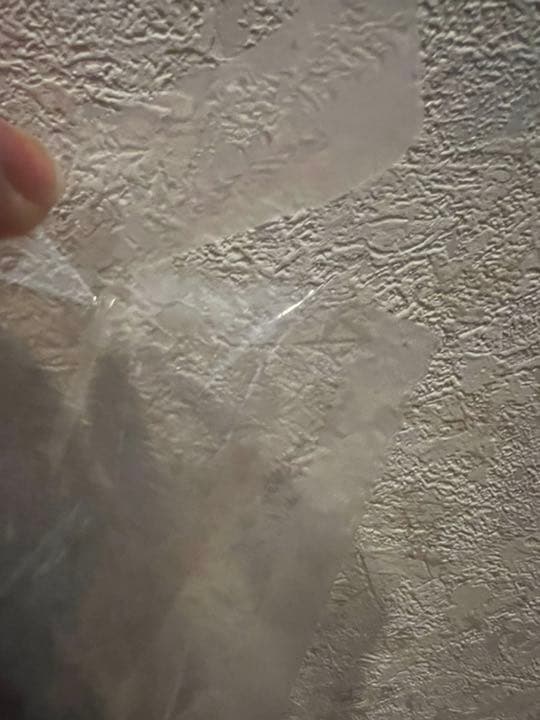 加納嘉将 アンタイ クッション