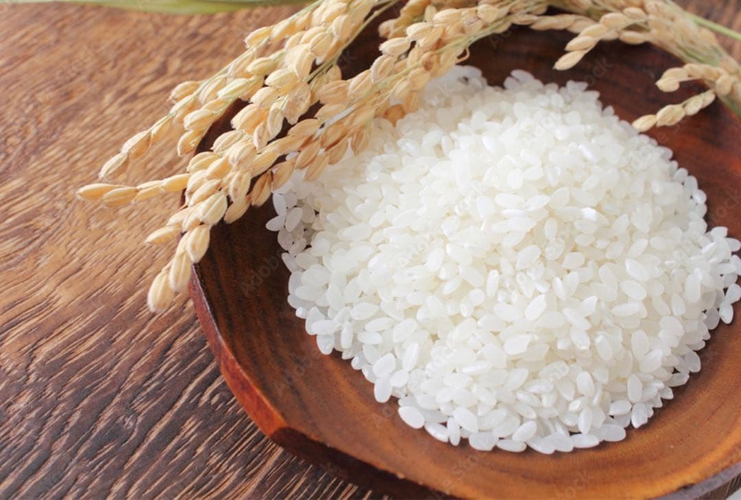 米　白米【令和7年産岩手県産ひとめぼれ10kg】 (5kg×2)モチモチ柔らか！