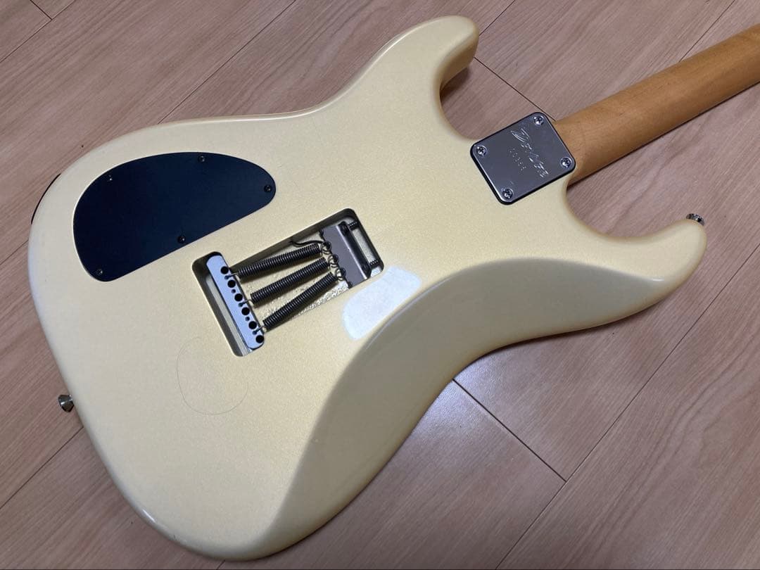 Deviser オーダーGK仕様ストラト　momose bacchus