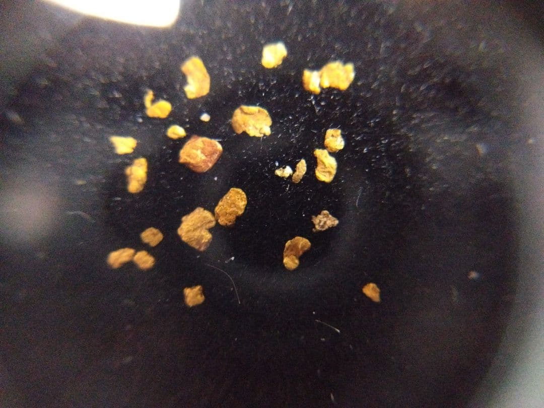 砂金 海外産 自然金 天然砂金 粒砂金 まとめ 希少 コレクション