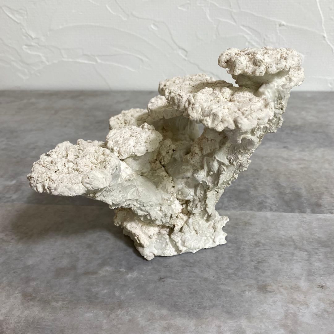 30cm 水槽用ホワイトコーラル型石　レイアウト済　人口ライブロック　サンゴ