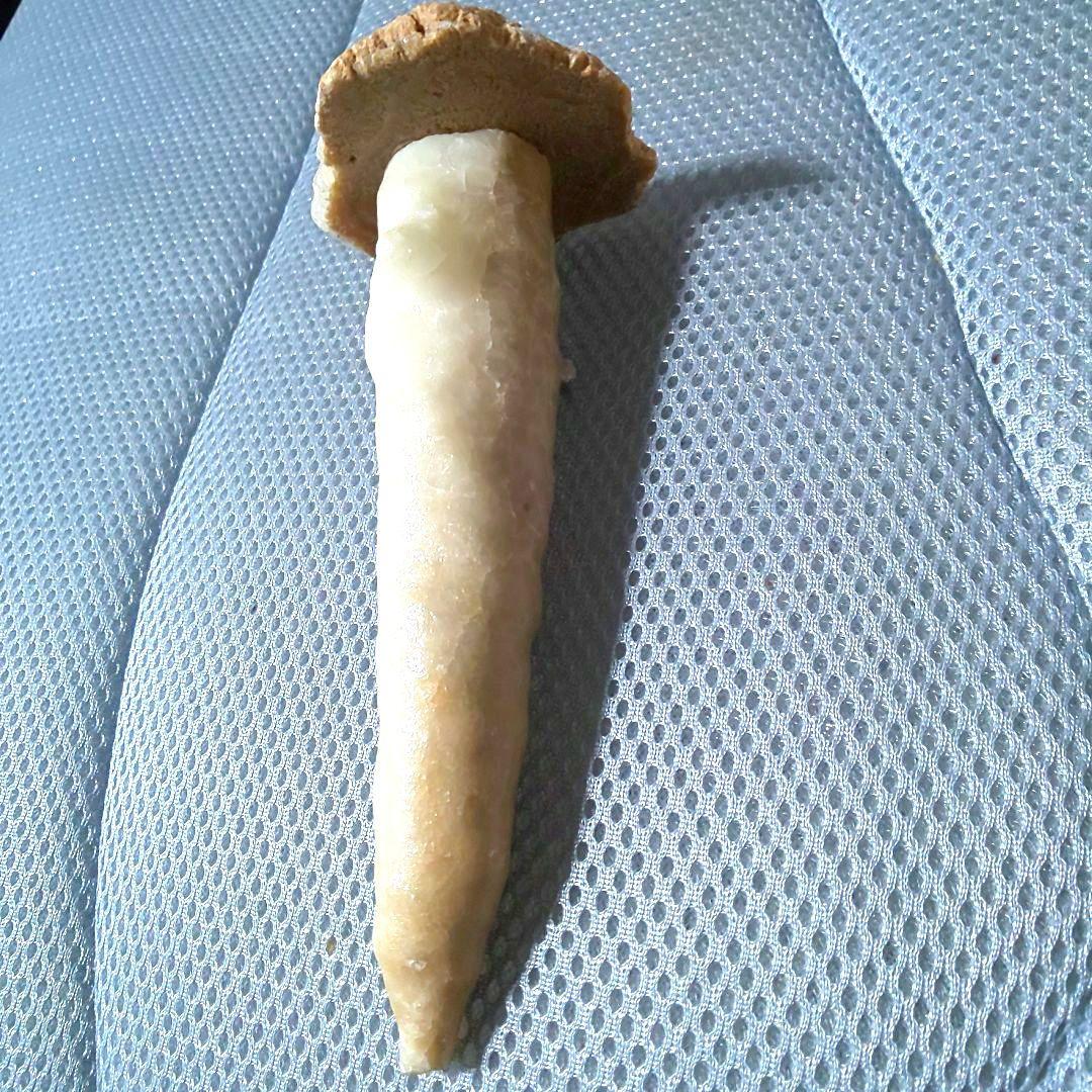 鍾乳石 長さ14.3cm