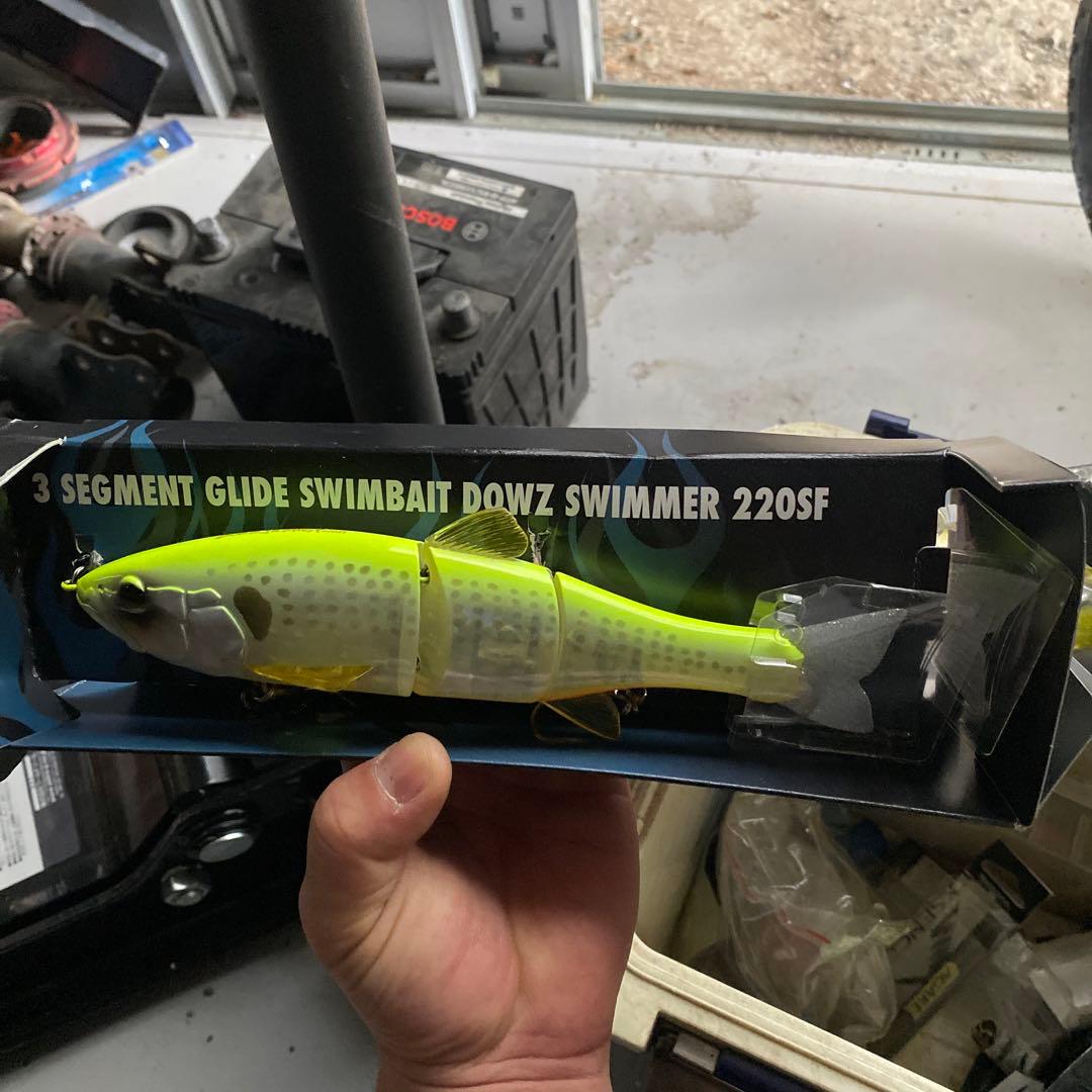 ダウズスイマー220sf