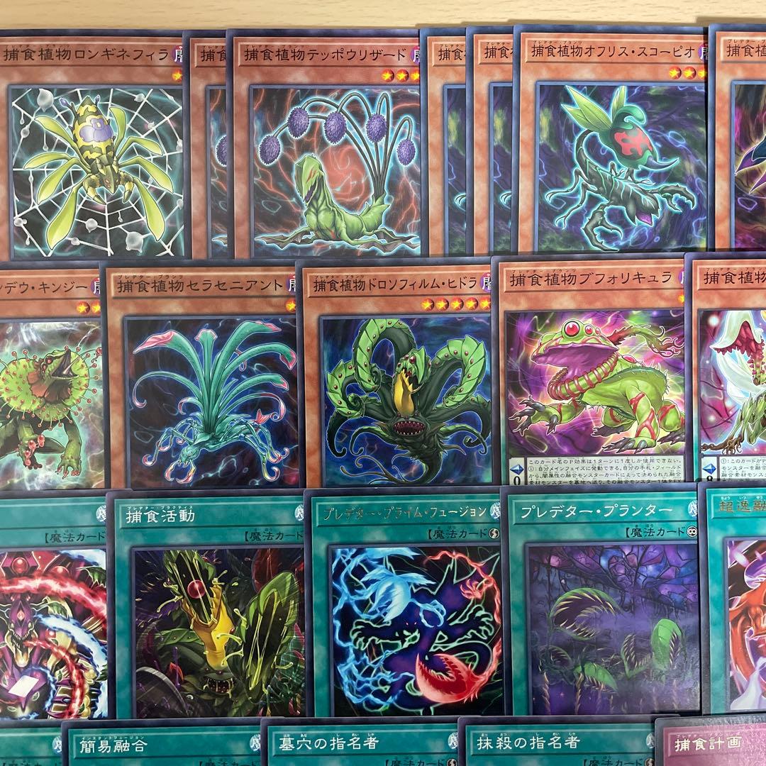 本格構築 捕食植物デッキ プレデタープランツデッキ 血樹竜姫ドラセリア