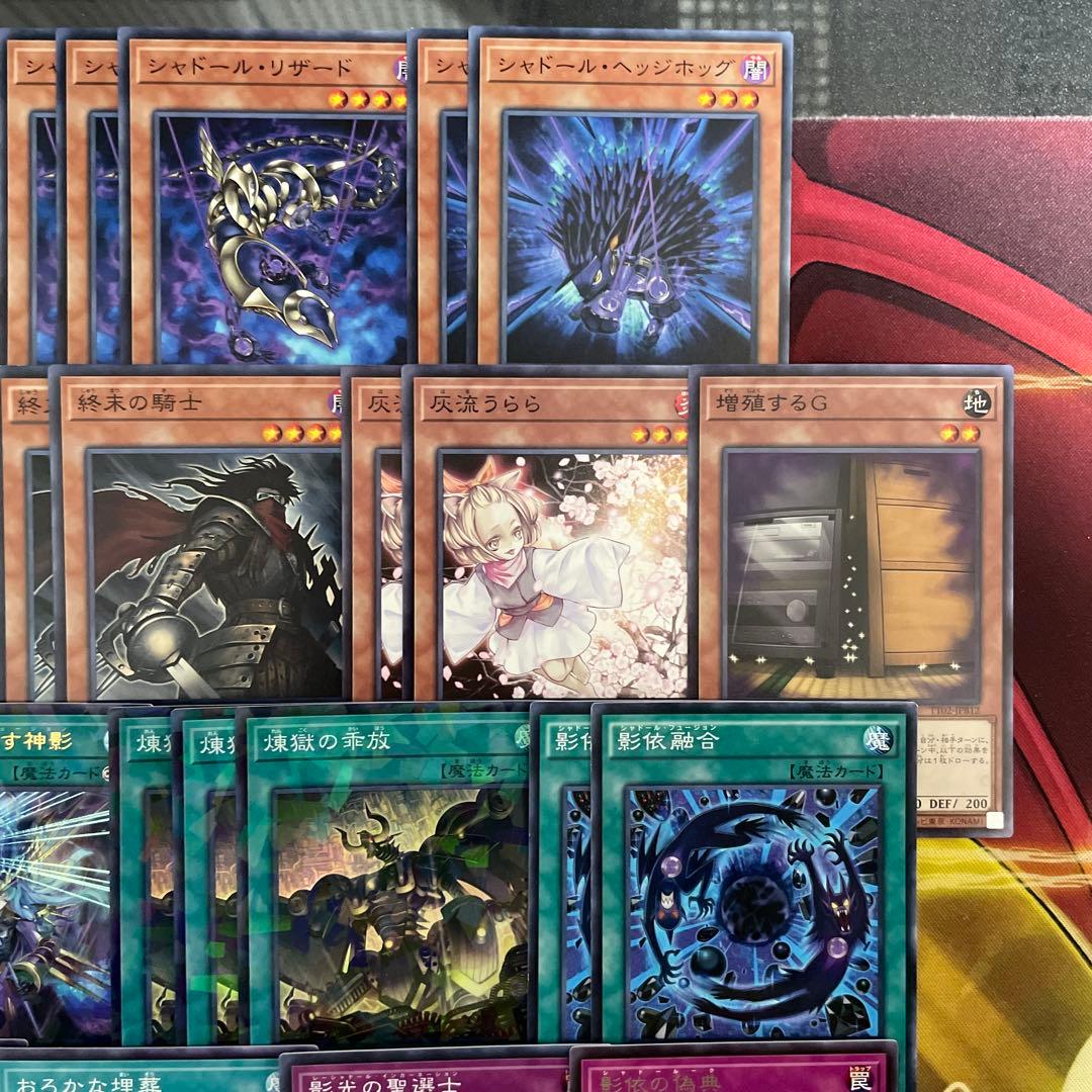 大会優勝構築 シャドールデッキ 凍てし心が映す神影 メシャフレール 煉獄の乖放