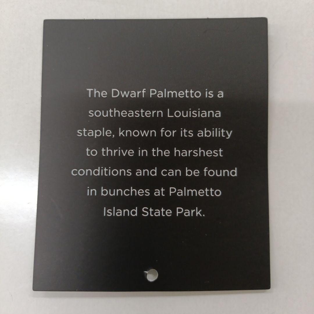 新品未使用 marucci マルッチ 内野手 グローブ 一般