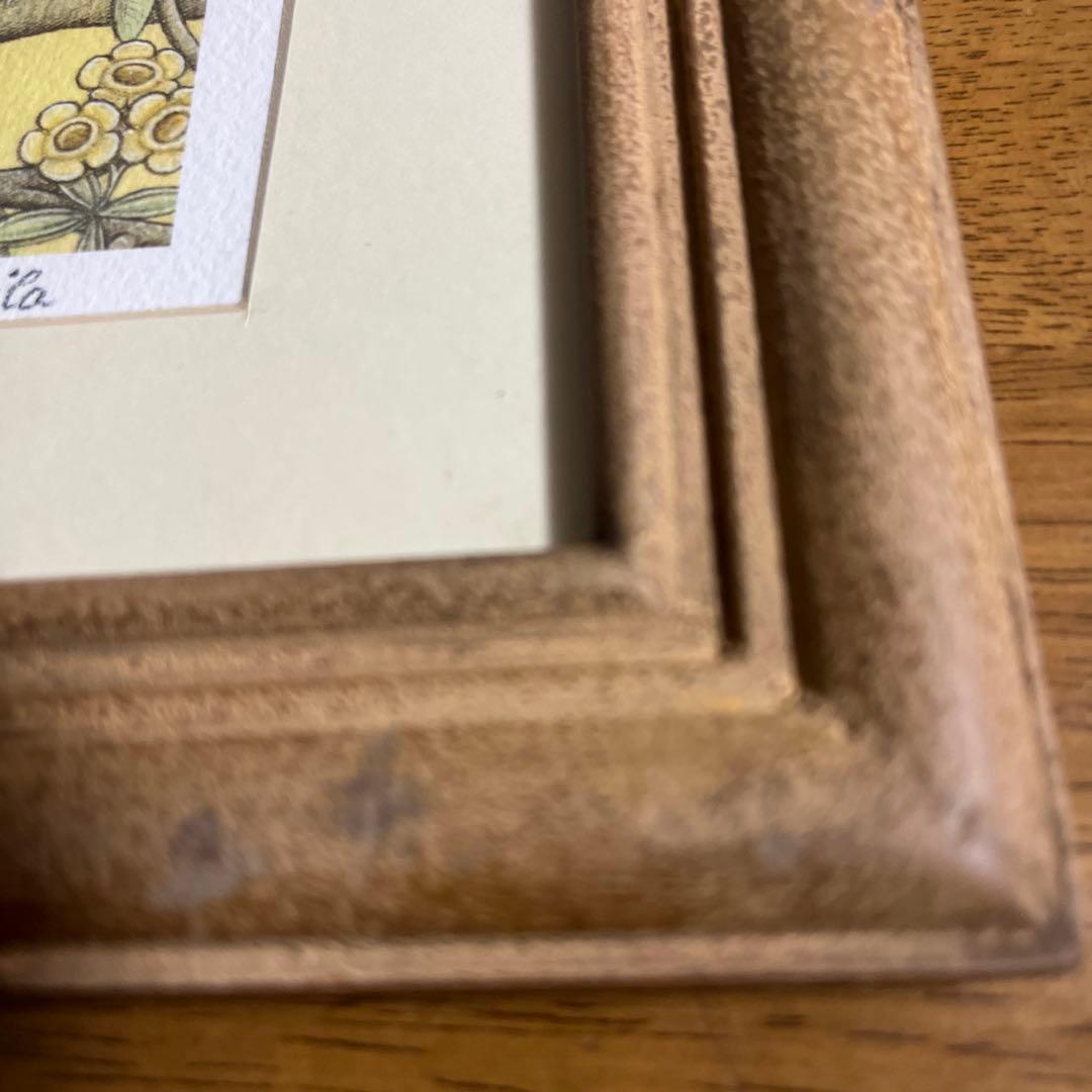 W. Silo フクロウの絵画 2009年制作