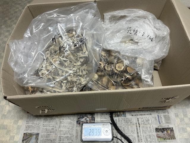 Susi商品　詰め合わせ