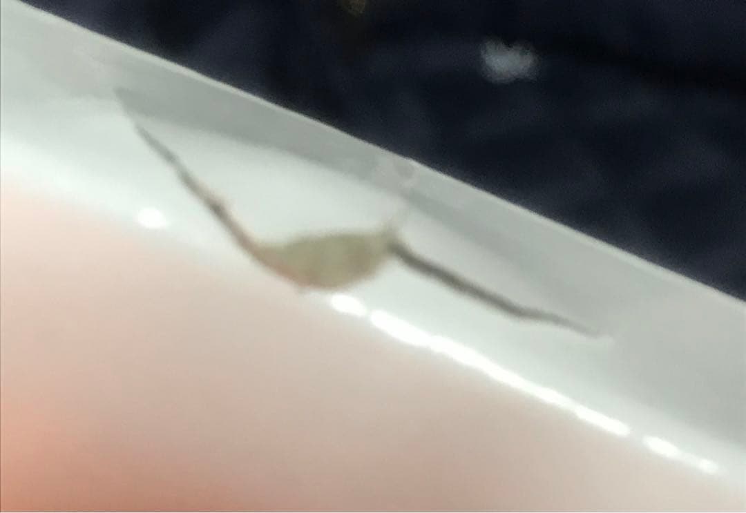 鬼滅の刃 柱展 KVアナザーカット バストアップアクリルパネル 不死川実弥