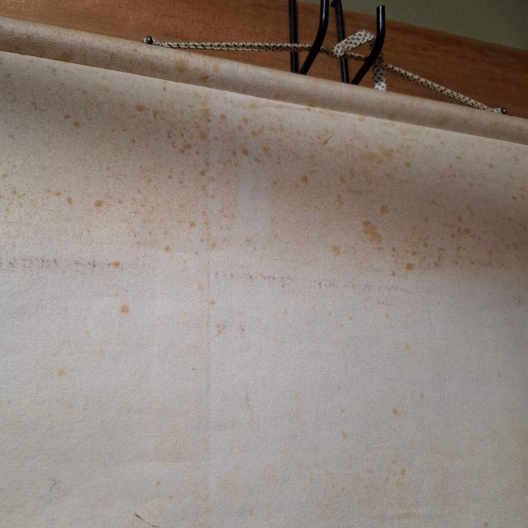 【掛軸】春木南溟「鳥図」共箱付き