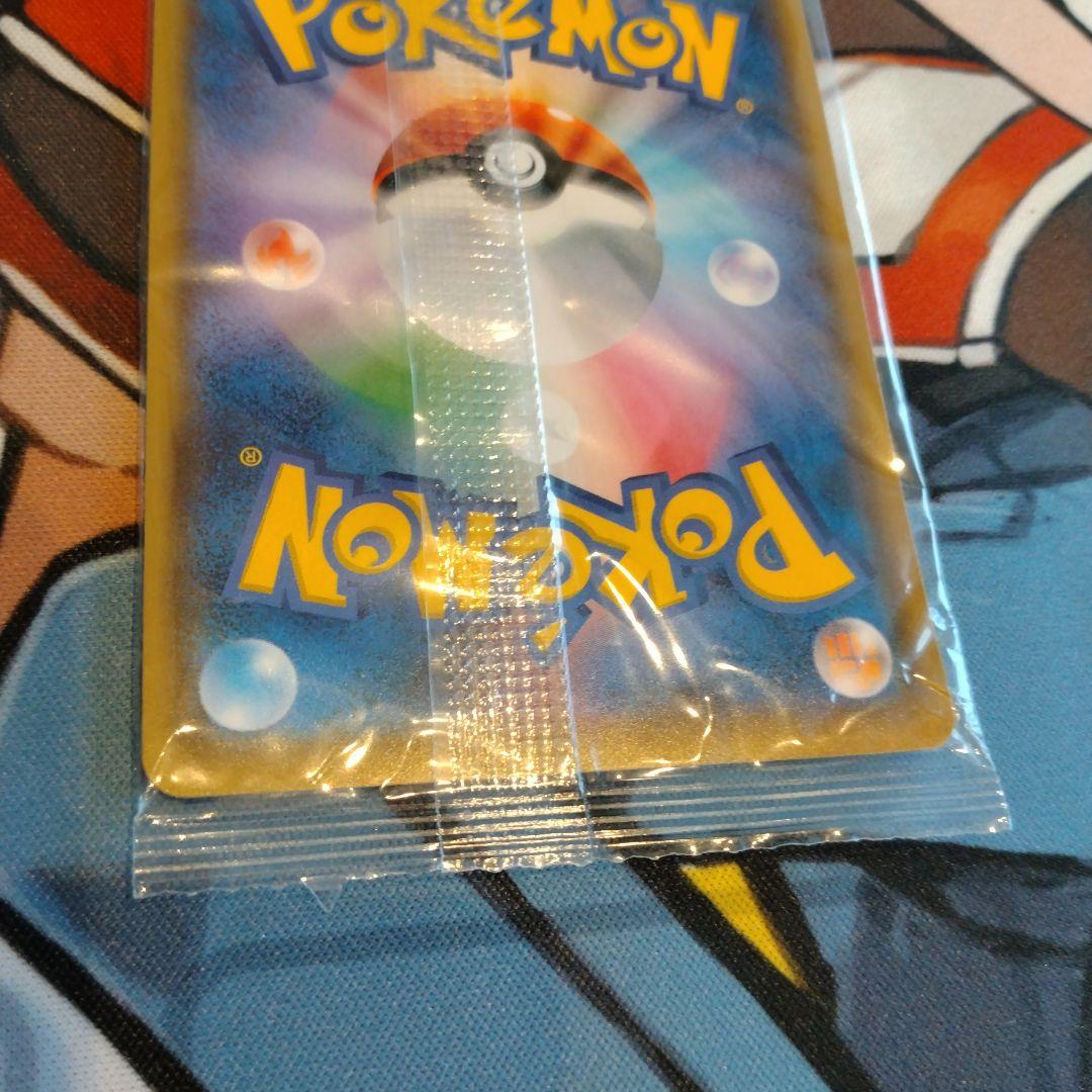 ポンチョを着たイーブイ リーフィア　未開封