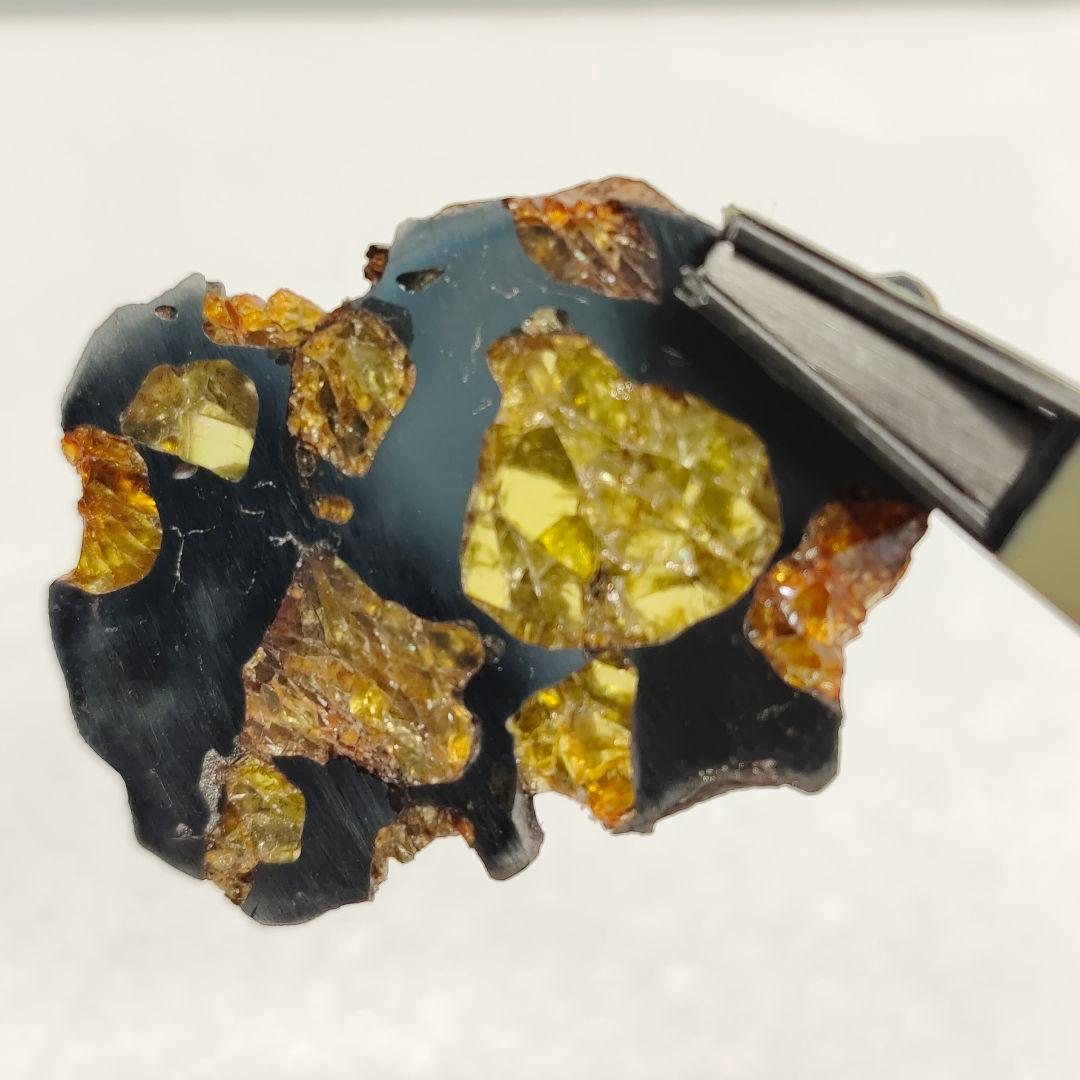 【パラサイト隕石】イミラック隕石 9g ケース&ネームカード付き NO.341