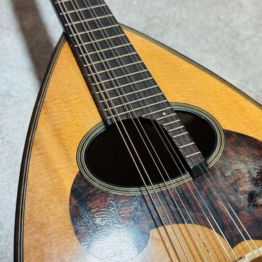 マンドリン SUZUKI M-30 弦楽器 ハードケース付き