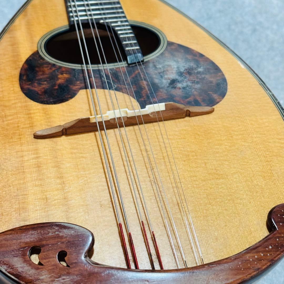 マンドリン SUZUKI M-30 弦楽器 ハードケース付き