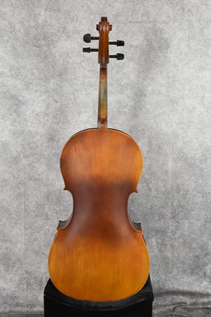 【動作品】Hallstatt HC-450 チェロ ハルシュタット　ケース付き