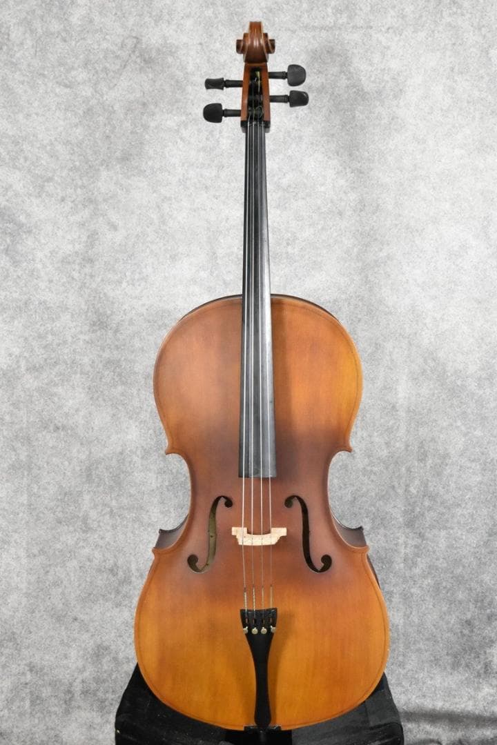 【動作品】Hallstatt HC-450 チェロ ハルシュタット　ケース付き