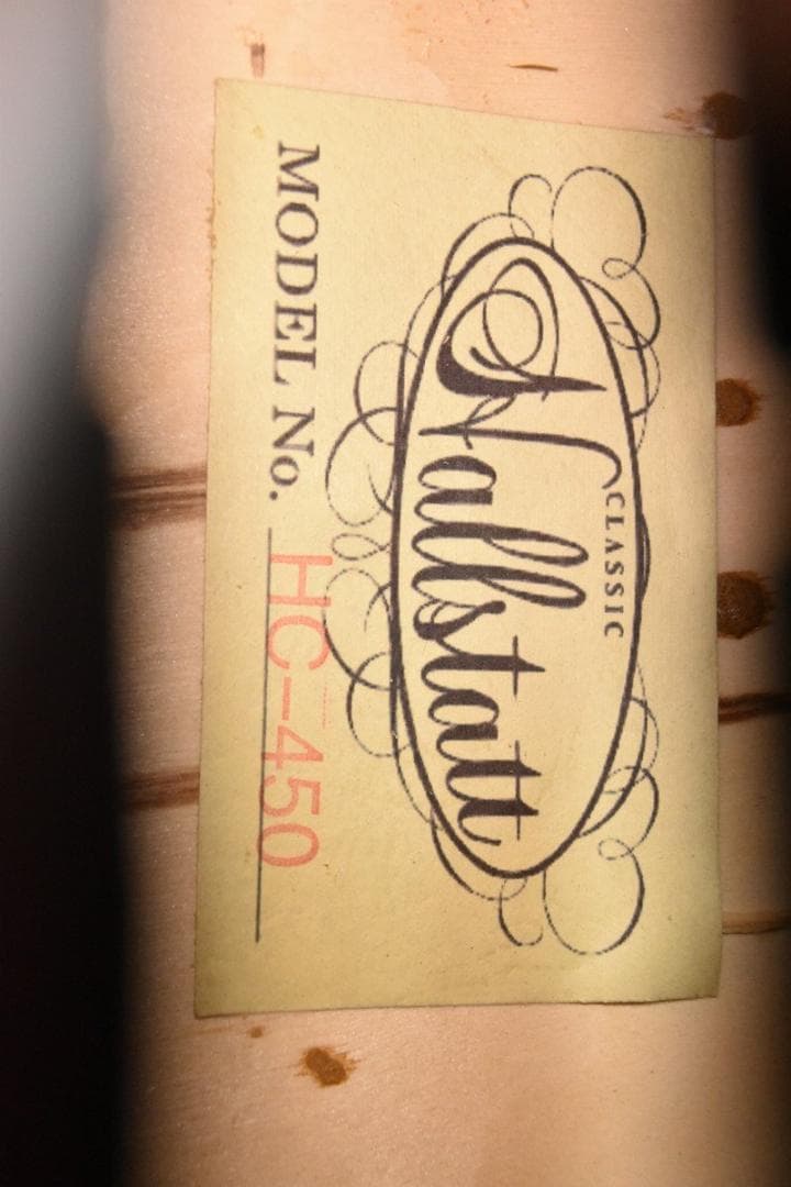 【動作品】Hallstatt HC-450 チェロ ハルシュタット　ケース付き