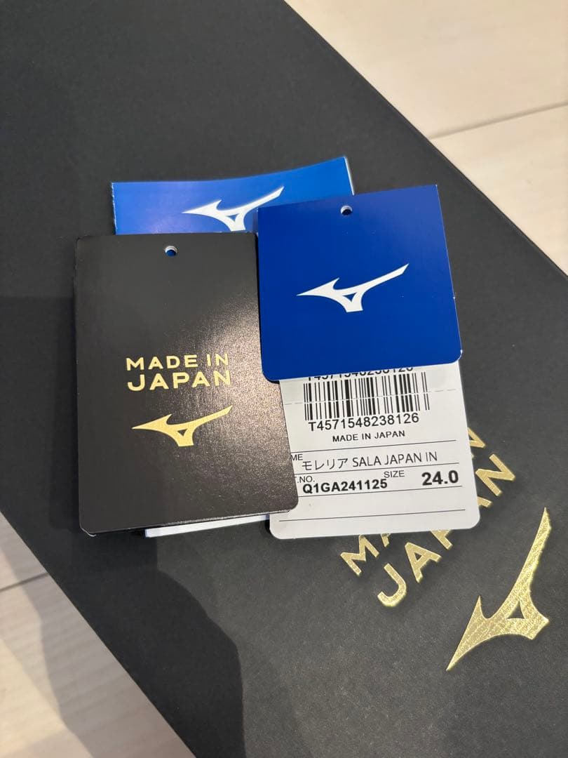 美品24㎝モレリアSALA JAPAN IN 室内