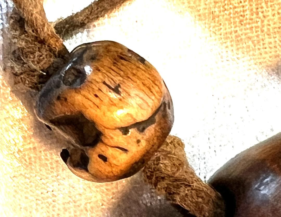 煙草入れ　木製　煙管入れと煙草入れと緒締め付き　煙管入れは竹製　緒締めは骨