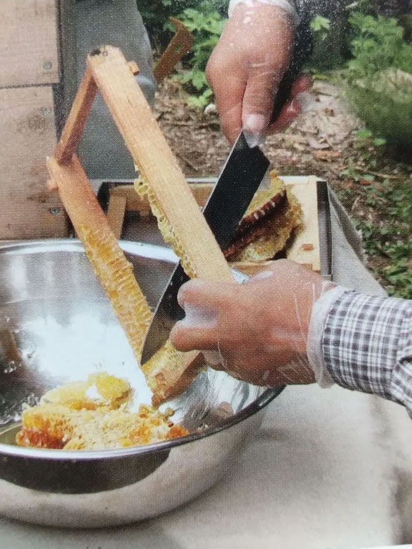 mondoです。 国産天然日本百花はちみつ鹿児島県南薩摩養蜂園蜂蜜計3kg