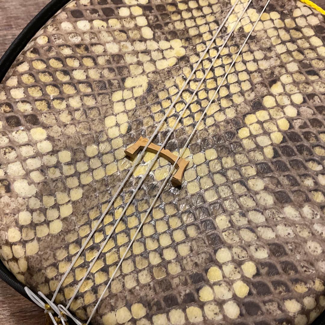 三線 本皮 強化張り 沖縄三線 本皮 強化張 琉球 沖縄 沖縄民謡 古典音楽